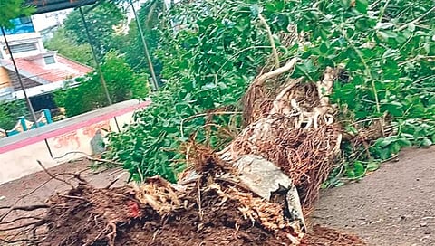 कोल्हापूर : गडहिंग्लज, कडगाव, सैनिक टाकळीत वादळाने थरकाप; भिंत कोसळून वृद्धेचा मृत्यू