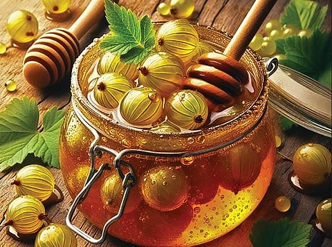 Benefits OF Amla and Honey