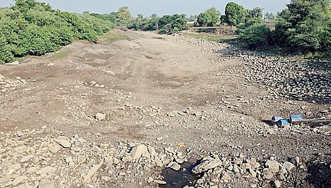 मीना नदीवरील बंधारे कोरडे; पिके जळू लागल्याने जुन्नर तालुक्यातील शेतकरी हवालदिल