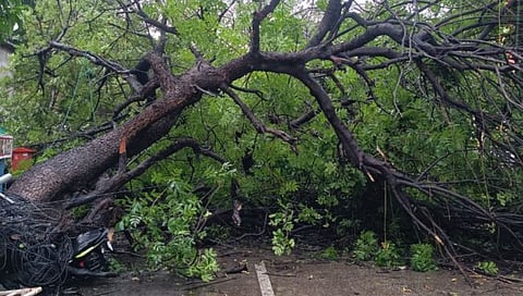 नागपुरात ५८ वर्षानंतर ‘मे’ महिन्यात सर्वाधिक पाऊस