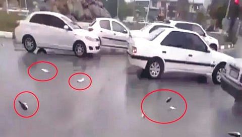 अहो आश्चर्यम्! इराणमध्ये पडला चक्क माशांचा पाऊस!