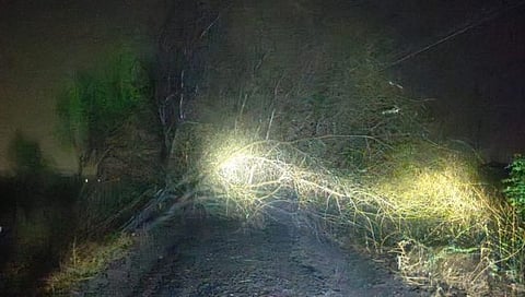 नाशिक : अचानक आलेल्या वादळी वाऱ्यासह पावसामुळे झाडे, विद्युत वाहिनी खांब कोसळले