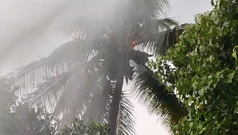 पन्हाळा गड येथे नारळाच्या झाडावर वीज पडून लागलेली आग