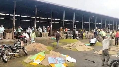 वाशिम: बाजार समितीमध्ये पावसामुळे शेतमालाचे नुकसान