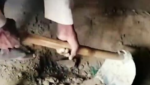 मुलीचा मृतदेह बेडरूमध्ये गाडला