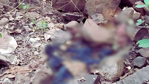 अल्पवयीन मुलाचा सांगाडा मिळाला