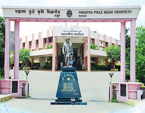 कंत्राटी अभियंत्यांच्या कारभाराची चौकशी होणार का?