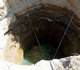 दुर्दैवी : बैलगाडी विहिरीत कोसळून बैलाचा मृत्यू; बैलगाडी चालक सुखरुप बचावला