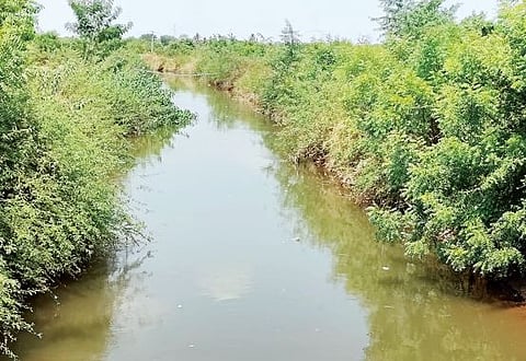 निरा डावा कालव्यातून उन्हाळी आवर्तन सुरू; शेतकर्यांमध्ये समाधान