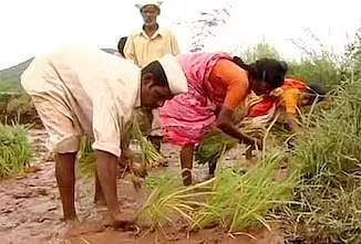 दौंडसाठी स्वतंत्र महसूल अधिकारी नेमावा; शेतकरी व नागरिकांची मागणी