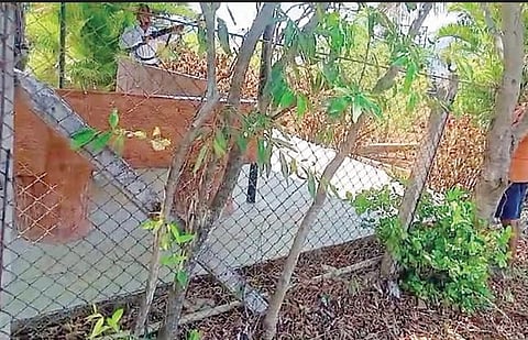 निवृत्त मेजरच्या हवेत गोळीबाराने खळबळ! पसुरे, कर्नवडीतील प्रकार