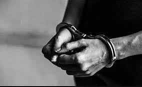 कपाशी बियाण्यांची चढ्या भावाने विक्री : एकास अटक