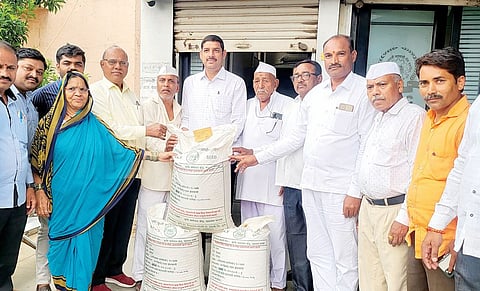 पहिल्या पिढीच्या बियाणातून ‘इंद्रायणी’चे उत्पादन; शेतकर्यांना बियाणांचे वाटप