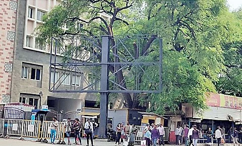 पालिकेच्या दारातील होर्डिंग काढले; रात्रीत उभारलेल्या होर्डिंगवर सकाळीच कारवाई