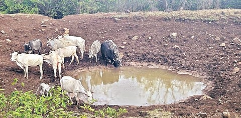 खेड तालुक्याच्या पश्चिम भागात पाण्याची टंचाईच्या झळा!