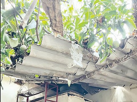 अवकाळी पावसाने शेतकर्यांचे नुकसान; घरांचे, गोठ्यांचे पत्रे उडाले, भाजीपाला, फळबागांना फटका