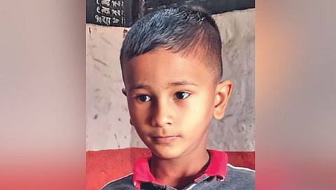 कोल्हापूर : माकडाने अचानक पुढ्यात उडी मारली; भीतीने बालकाचा मृत्यू