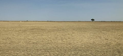 संपादित जमीन बेकायदा केली अकृषक