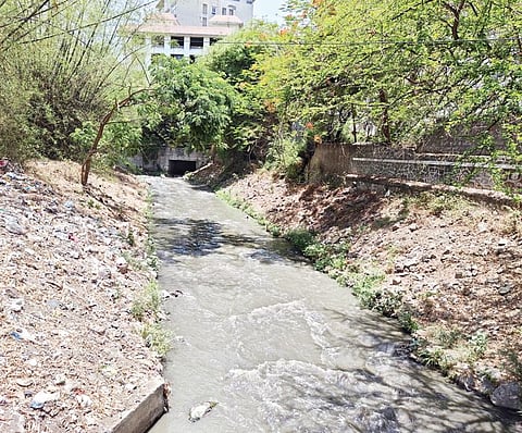 भैरोबानाल्यातून वाहतेय कत्तलखान्याचे पाणी! दुर्गंधीच्या समस्येमुळे नागरिक त्रस्त