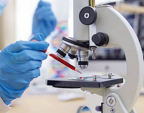 Blood sample case : डॉ. तावरेच्या तोंडी एकच बोल, फक्त पैसा..!