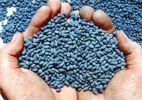 कापसाच्या जादा बियाणे विक्रीप्रकरणी गुन्हे दाखल