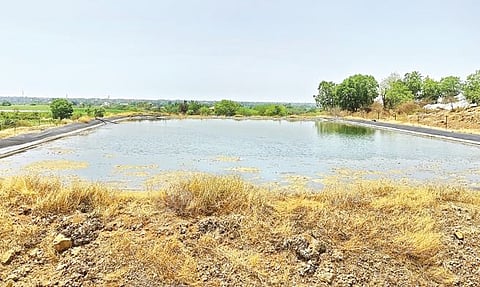 ऐन उन्हाळ्यात शेततळी ठरताहेत वरदान; इंदापूरमधील फळबागांना फायदा