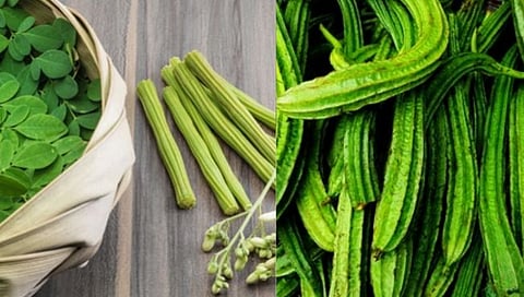 उन्हाळ्यात ‘या’ भाज्या ठेवतात ‘कूल’!