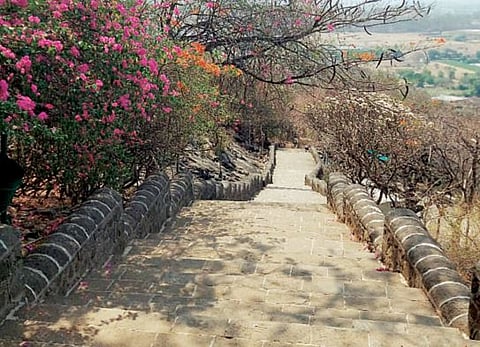 पर्यटनाला उन्हाचा फटका; शिवनेरीसह जुन्नरचे गडकिल्ले, पर्यटनस्थळे पडली ओस