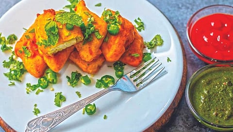 सर्वाधिक शाकाहारी लोक भारतात!