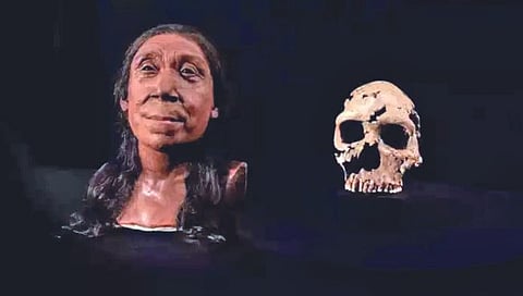 75 हजार वर्षांपूर्वीच्या महिलेला मिळाला चेहरा!