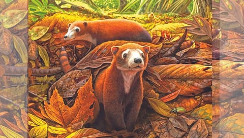 खूर असणार्या प्राण्यांच्या पूर्वजाचे मिळाले जीवाश्म