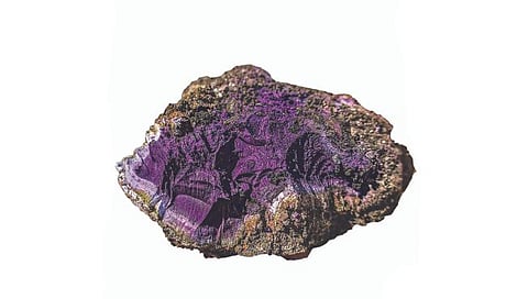 सोन्यापेक्षाही महाग ‘हा’ रोमनकालीन पदार्थ