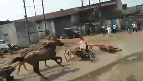 कोल्हापूर घोडागाडी अपघात