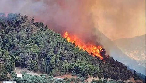 उत्तराखंडमधील वणवा