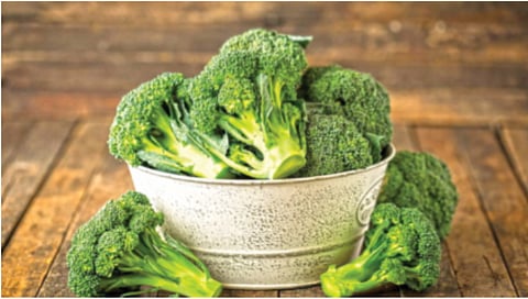 वजन कमी करण्यासाठी ब्रोकोली गुणकारी