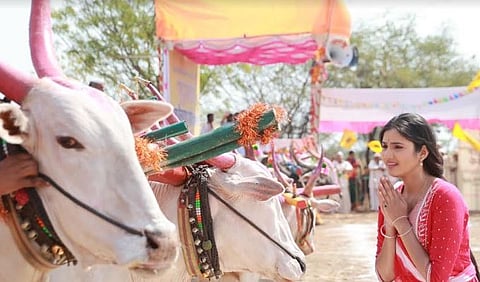 पूजा बिरारी