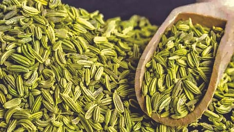 बडीशेपचे ’हे’ आहेत आरोग्यासाठीचे लाभ…