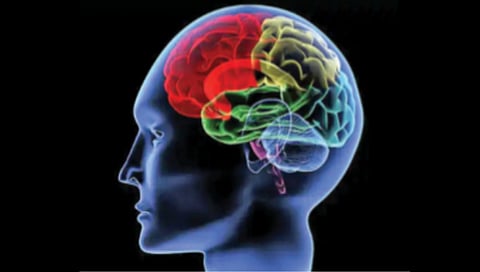 स्मरणशक्ती कमजोर होऊ नये यासाठी…