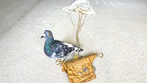 इंग्लंडमध्ये सापडले दुसर्या महायुद्धातील पॅराशूट!