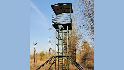 वन्यप्राणी गणना