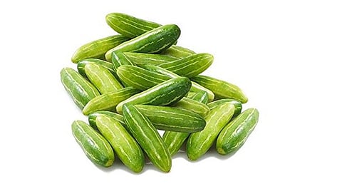 उन्हाळ्यात तोंडली ठरतात ‘सुपरफूड’!