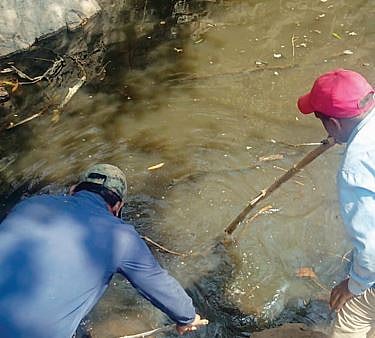 वन्यजीवांना नैसर्गिक पाणवठ्यांचा आधार; सिंहगडच्या जंगलातील चित्र