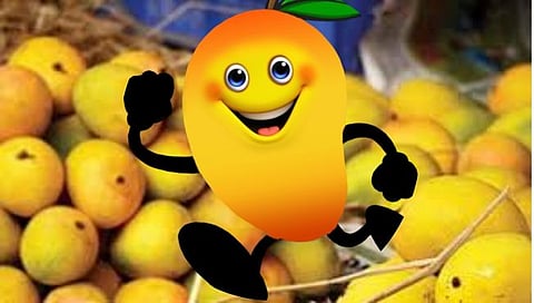 Mango Export News | नाशिकमधून ऑस्ट्रेलिया, अमेरिकेला एक हजार टन आंबे निर्यात