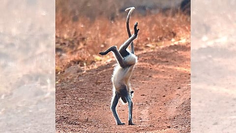 World Yoga Day 2024 | आम्हीही करतो तुम्ही देखील करा! कारण “शास्त्र असतं ते”….