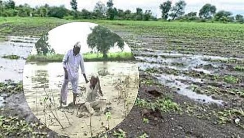 Monsoon Update Malegaon | मालेगाव तालुक्यात वीज पडून 15 जनावरे दगावल्याने पशुधनाचे नुकसान