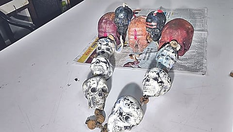 पंचवटी : एरंडवाडी येथील मंदिराजवळून ताब्यात घेतलेले प्लास्टिकचे मानवी सांगाडे. (छाया : गणेश बोडके)