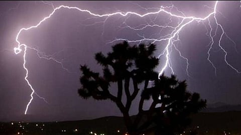 Wardha Heavy Rain : तळोदी येथे वीज पडून व्यक्तीचा मृत्यू, तर चाणकी शिवारात बैलजोडी ठार