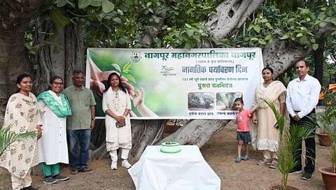 नागपूर: १५० वर्षे वयाच्या नवजीवन देण्यात आलेल्या वटवृक्षाचा वाढदिवस