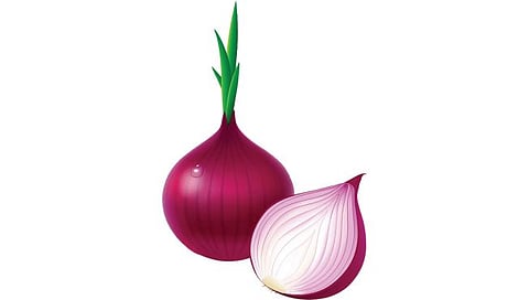 Onion Price | आता वाणिज्य मंत्रालय ठरवणार कांदा बाजारभाव; शेतकऱ्यांना कितपत फायदा होणार?