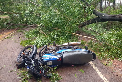 बेळगाव : बेळगुंदीजवळ धावत्या दुचाकीवर झाड कोसळले; एकजण ठार